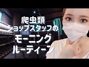 爬虫類ショップスタッフのモーニングルーティーン【RESERVOIR.exotics】