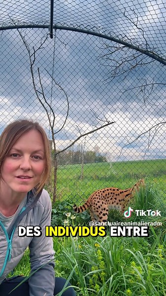Formations en comportement animal à notre refuge