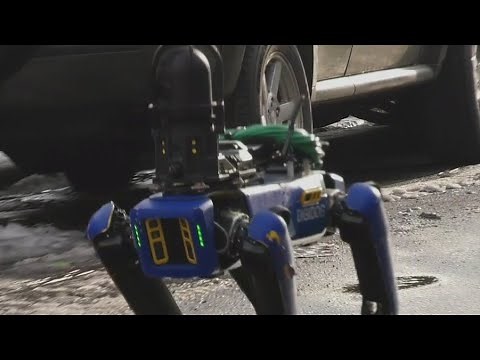 NYPD uses robot dog during police operation