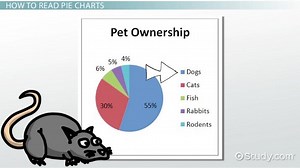 Pie Chart Definition & Examples | What is a Pie Chart?