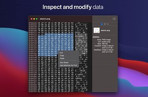 Free Hex Editor for MacOS Big Sur