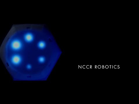 NCCR Robotics: A documentary