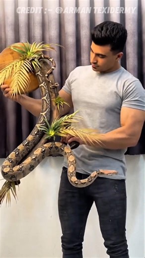 “Methods to develop in Python”🏠