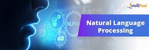 Natural Language Processing (NLP)