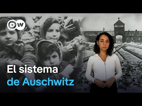 Cómo funcionaba Auschwitz, el mayor campo de concentración y centro de exterminio del nazismo