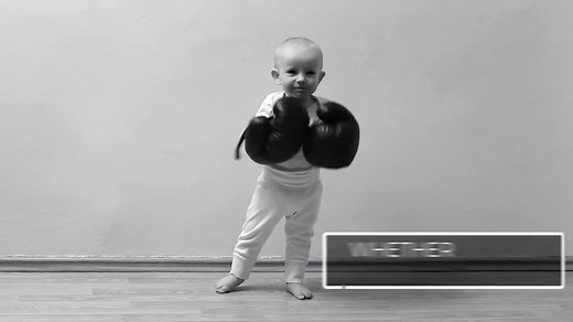 Raspberry Pi: 10 operating systems for the minicomputer