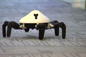 Insect robot that brings robotics to the amateur