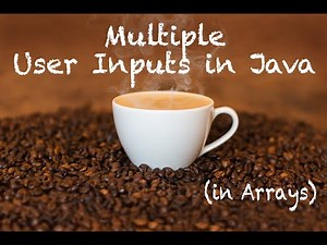 Java: Multiple User inputs in Array
