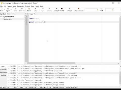 Passing arguments/parameters via command line in python