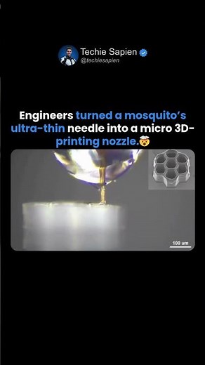 Engineers Convert Mosquito Proboscis Into Ultra-Precise 3D Nozzle! 🤯