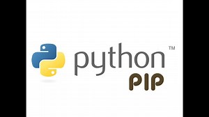 Install pip Python package manager on FreeBSD 12 [Guide]