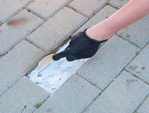 Tiny Pool, Big Chill! | 5-Minute Crafts SHORTS