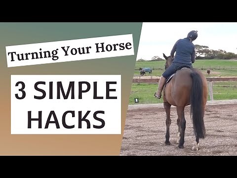 Horse Riding Lessons | Helping Your Horse To Turn