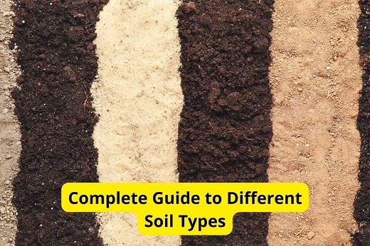 Complete Guide to Different Soil Types