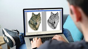 7 Best Laser Engraving & Cutter Software (Free & Paid) - CNCSourced