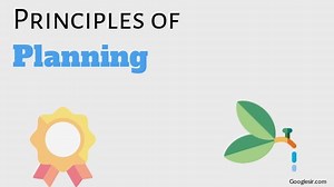 21 Principles of Planning in Business Management -