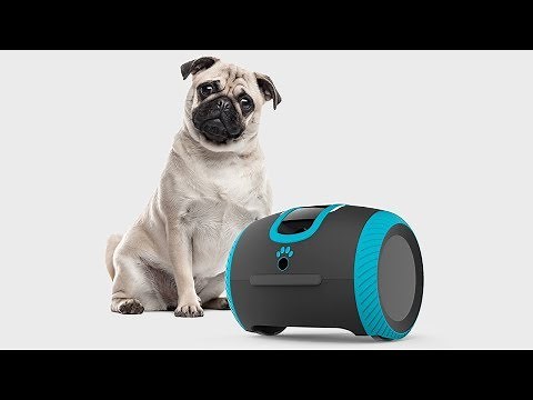 Ce Robot Lance des Croquettes à Votre Chien