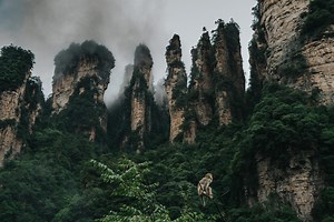 9 Most Scenic And Beautiful Places In China | Drink Tea & Travel