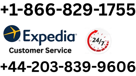 Updated Expedia® Customer Service | Detailed Guide to 24/7 Chat, Call & Email Support