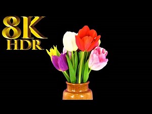 REAL 8K HDR 60FPS (FUHD) Collection