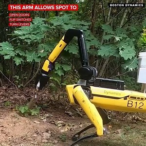 Spot the robot dog from Boston Dynamics has a few new tricks up its sleeve — err — robotic arm. | CNET