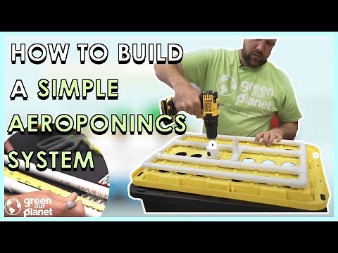How to Build a Simple Aeroponics System
