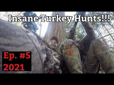 2021 PA Spring Gobbler Turkey Hunts (Insane Footage) - Ridge Raised Outdoors