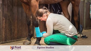 Post University on Reels