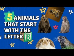 5 Animals that start with the letter B #alphabet #kids