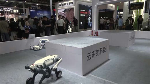 New robotic dog aims to tackle all-terrain environment