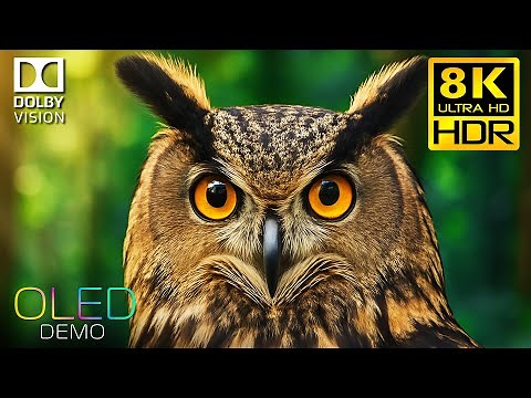OLED TEST DEMO | 8K Video ULTRA HD 120 FPS Dolby Vision™ HDR (4K/8K TV)