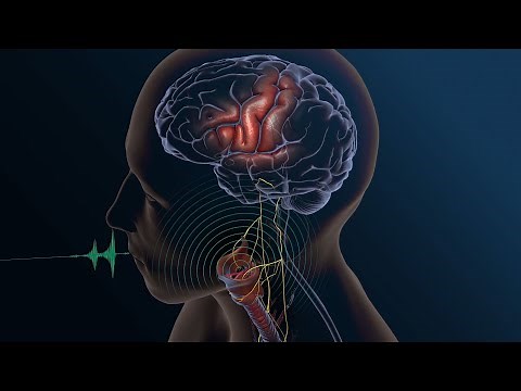 Speech From Brain Signals